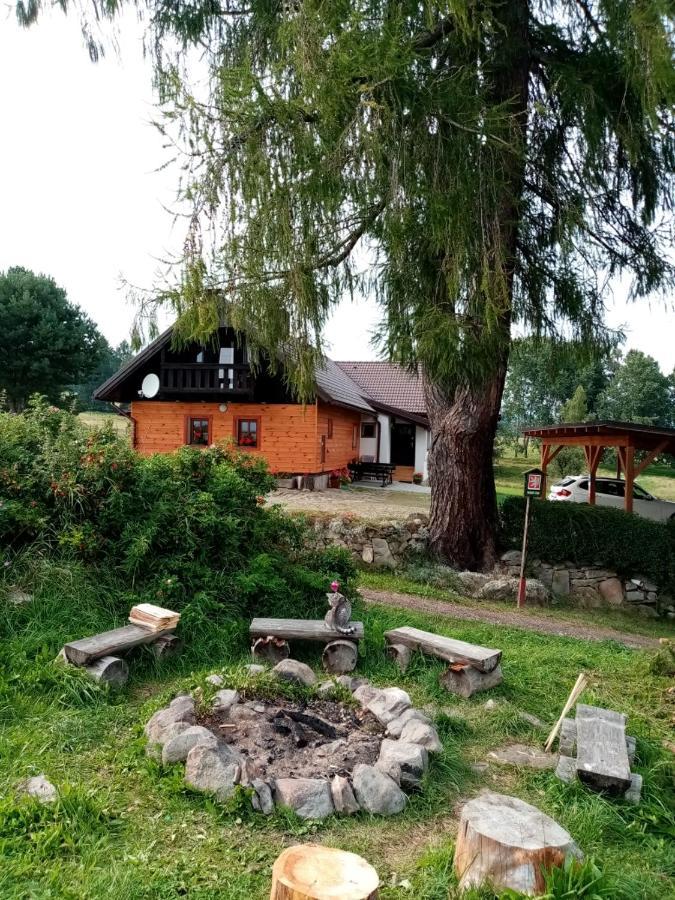Chalupa Olsina 31 - Ferienhaus Horní Planá Extérieur photo